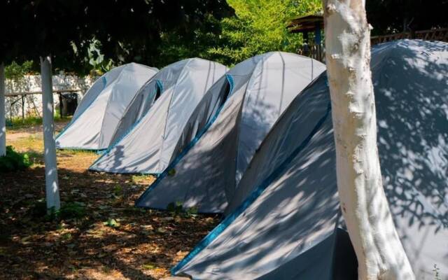 Social Camping JAL