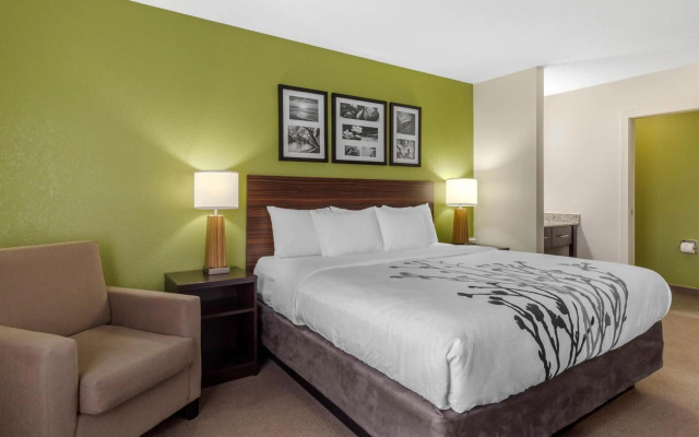 Sleep Inn & Suites Allendale