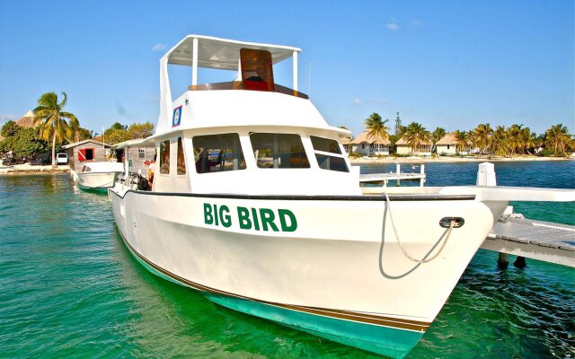 Blackbird Caye Resort
