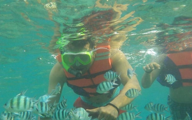 Pari Island Guest House