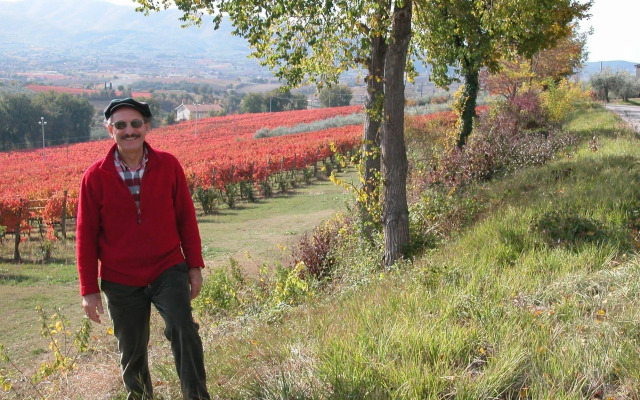 Castello Di Cisterna