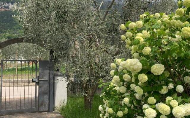 Agritur Stefenelli