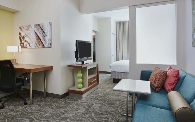 SpringHill Suites by Marriott Chicago Schaumburg/Woodfield