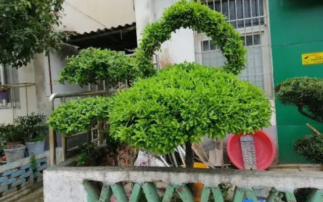 Xiyuan Residential Dormitory