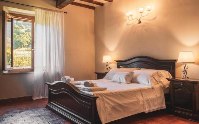Paradiso di Cacuci - Traditional Tuscan Vineyard & Villa