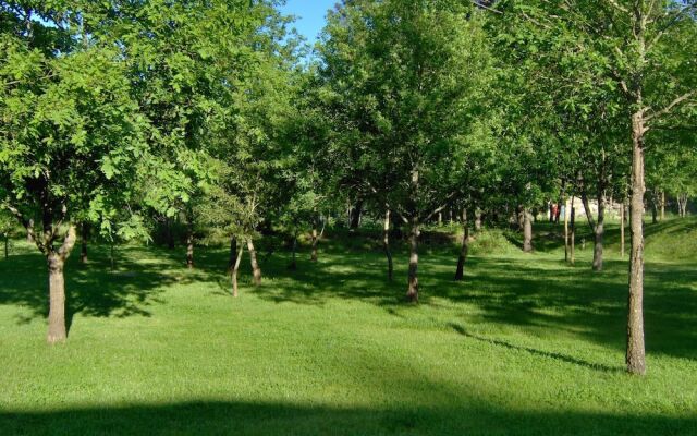 Room in B&B - Vale Martinho - Paradise is Real