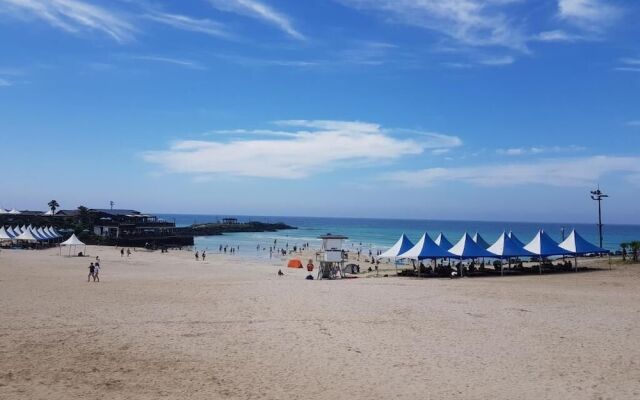 Jeju Mimong