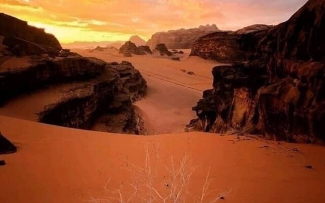 sand camp wadi rum