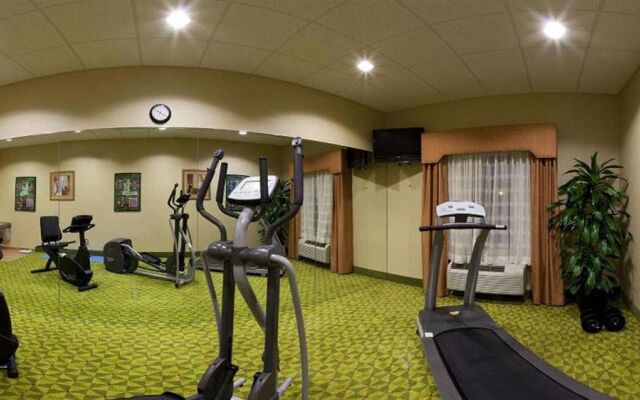 Holiday Inn Express Hotel & Suites St. Petersburg North (I-275)