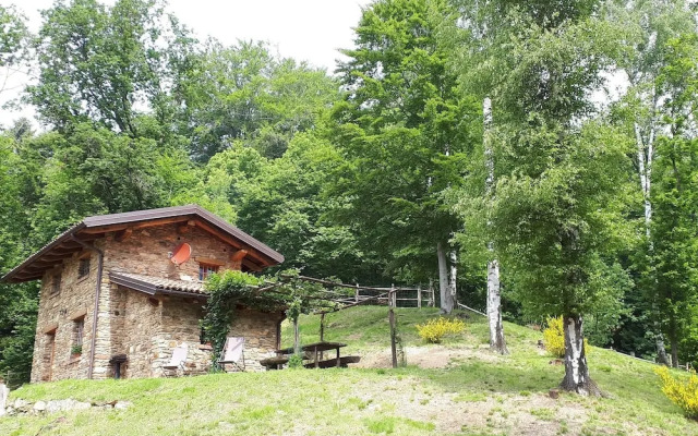 Agriturismo l'Arbo