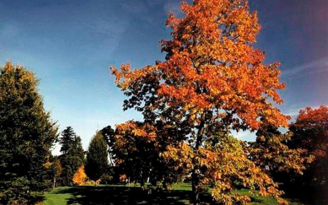 West Lodge Park Hotel