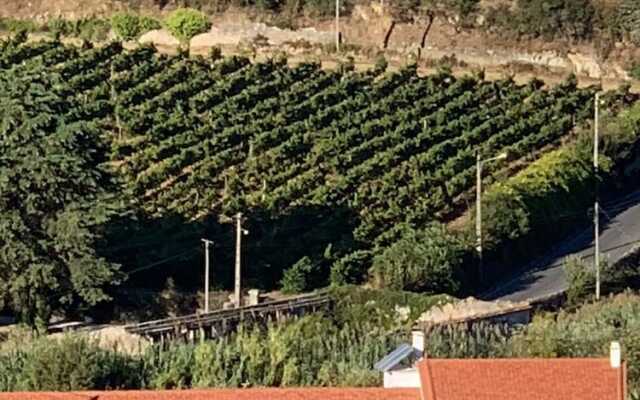 Quinta Ribeira do Labrador - Lisbon West Wine Route