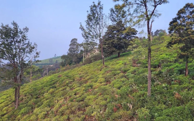 The Ark Haven Ooty by Scenic Serenity Stays