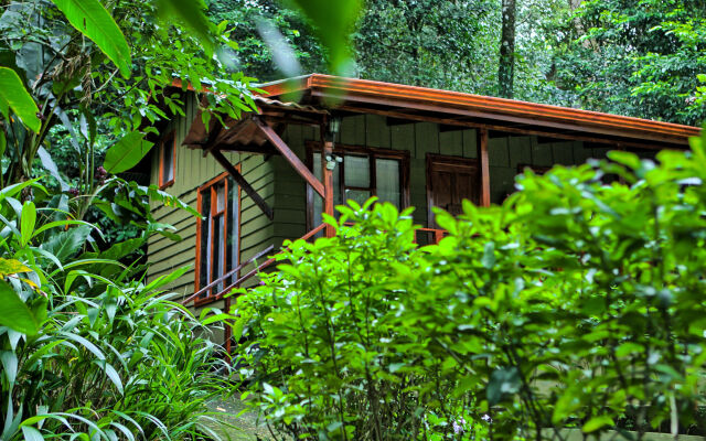 Jaguarundi Lodge