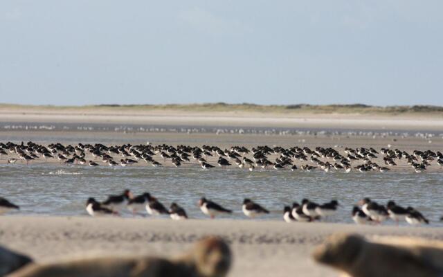 Ancient Mill Renovated With Garden