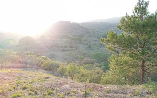 Paysage Caché