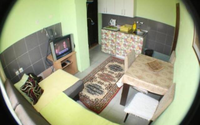 Apartment Ruzica