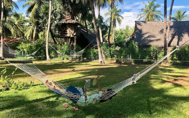 Wind Blend Kite Resort