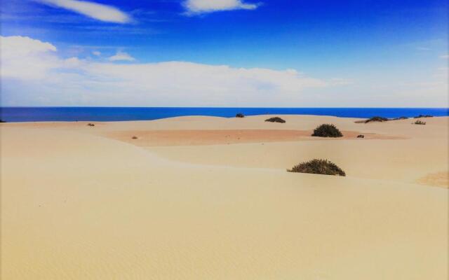 Corralejo Sun 202