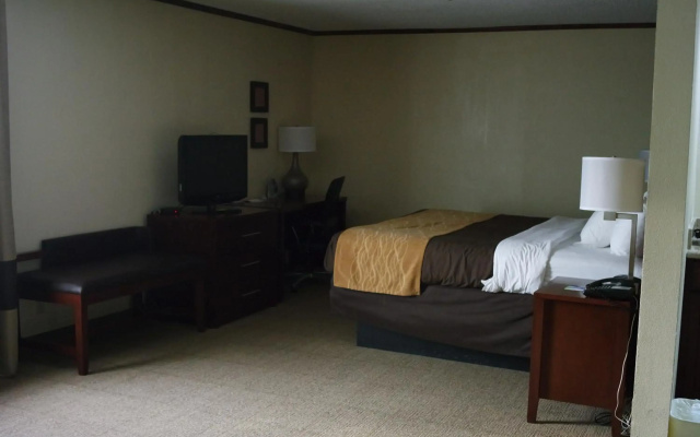 Ardmore Inn & Suites - фото 3