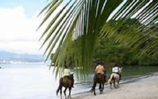 Appartement Rosbambou les pieds dans l eau