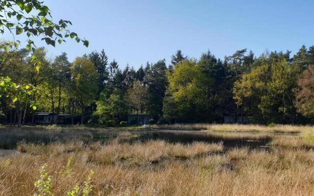 Drentse bungalow in natuur en rust