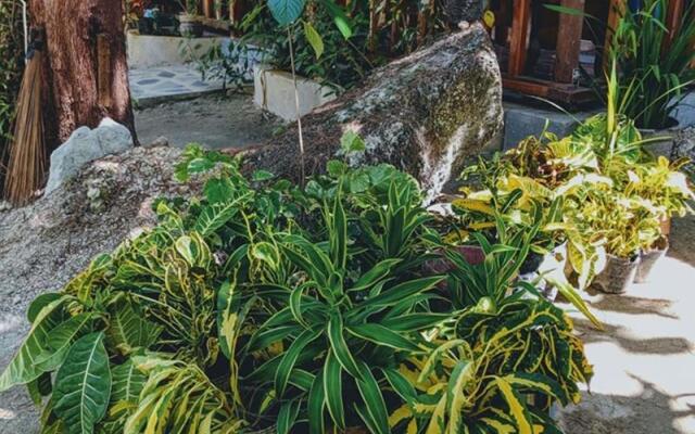 Jing's Place Homestay siargao