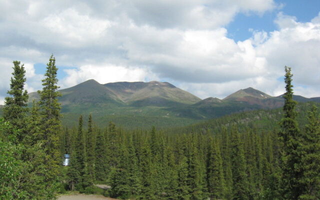 Denali Perch Resort