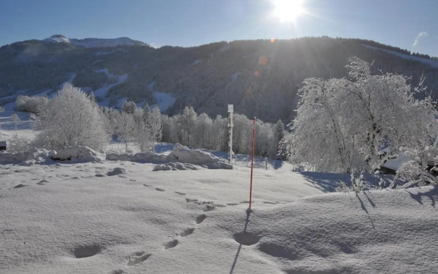 Le Mazot de Marie - chalet 6 pers