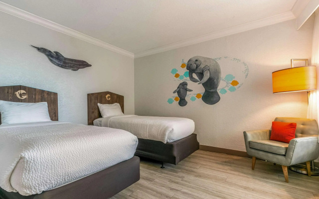 Dolphin Sands Clearwater Beach, an Ascend Collection Hotel