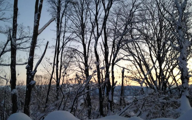 Japow House
