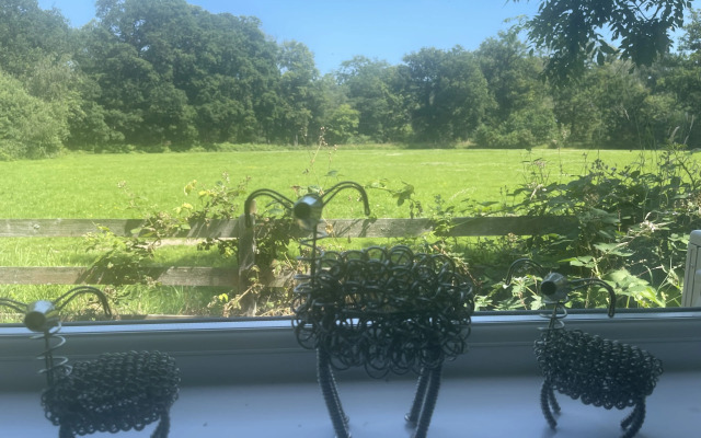 Village Limits Bed & Breakfast Accommodation