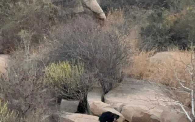 Rashmitha Guest House