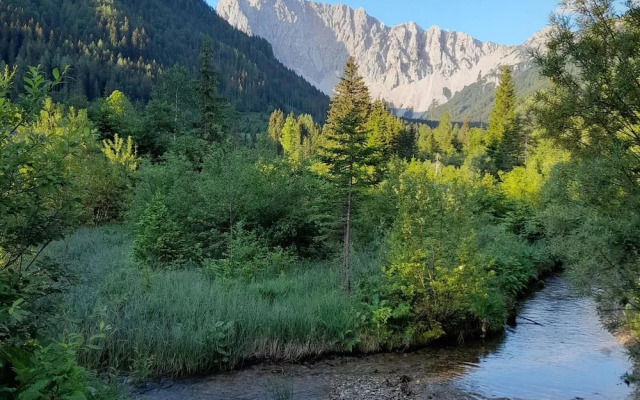 Secluded Apartment in Ferlach near Bodental Ski Lift