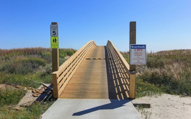 Sandy Paws 123 by RedAwning