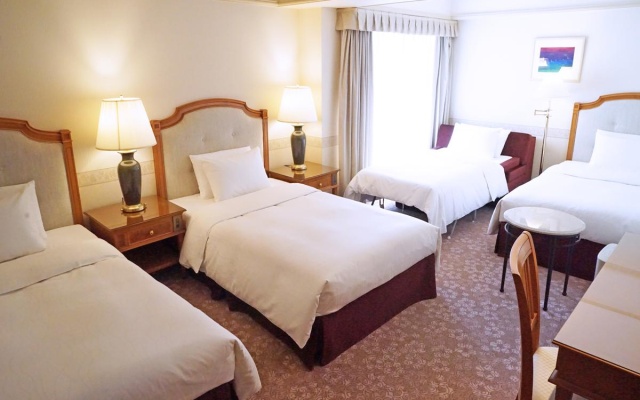 Superior Triple room with city view 사진 4