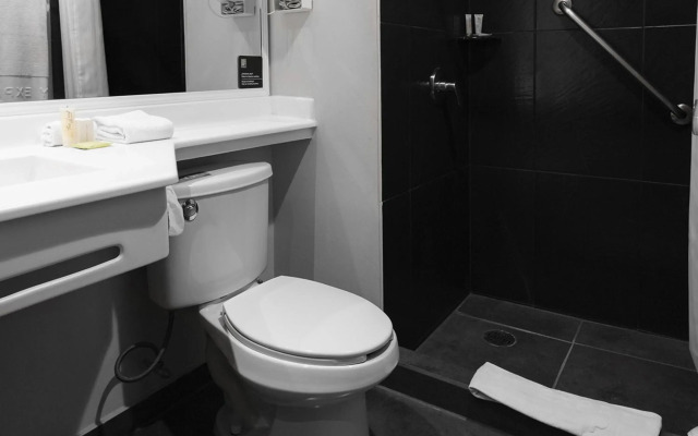City Express Plus by Marriott Guadalajara Expo