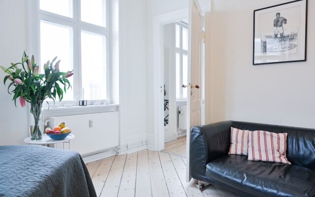 Beautiful 2-Bedroom Apartment with Designers Furniture in Downtown Copenhagen