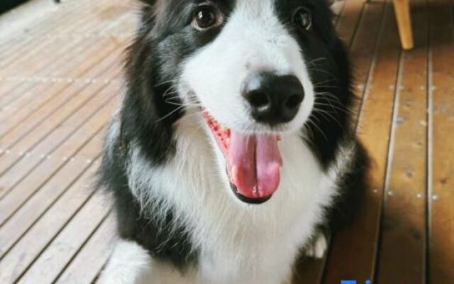 A Homestay in the Mountains