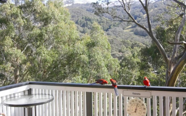 Value 1-Bedroom Apartment