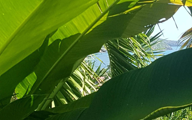 Studio Frangipani dans Villa Fleurs des Iles