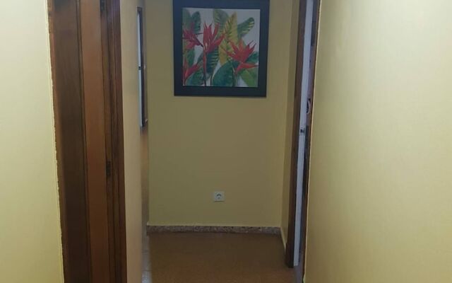 Apartment in Fragoso Street, Very Spacious and Close to Samil
