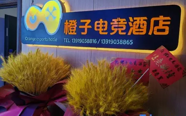 Orange esports homestay