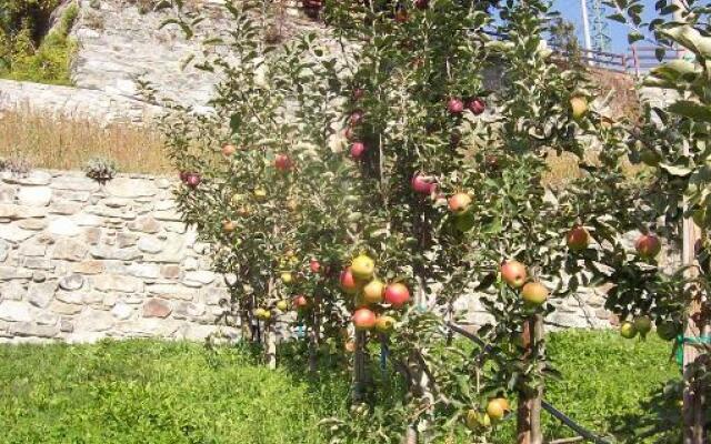 Agriturismo Au Jardin Fleuri