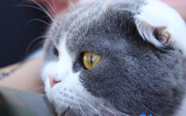 Xishuangbanna Jianye Holiday (Gasa Airport Branch)