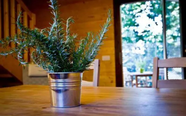 Apartamentos el Bosquet