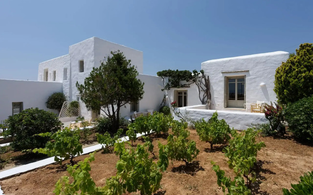 Villa Vinea Paros