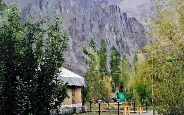D Camp