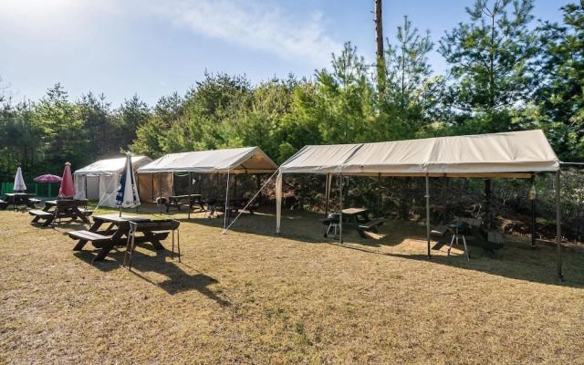 Yangyang See Star Donghae