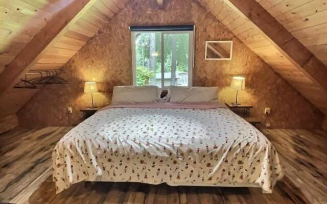 Papa`s Packwood Cabin